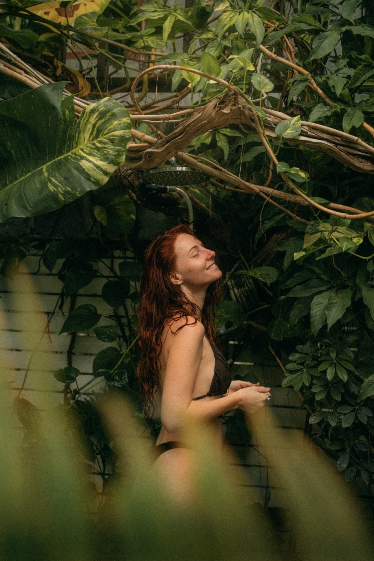 Tropical nature at Wonderland Healing Center