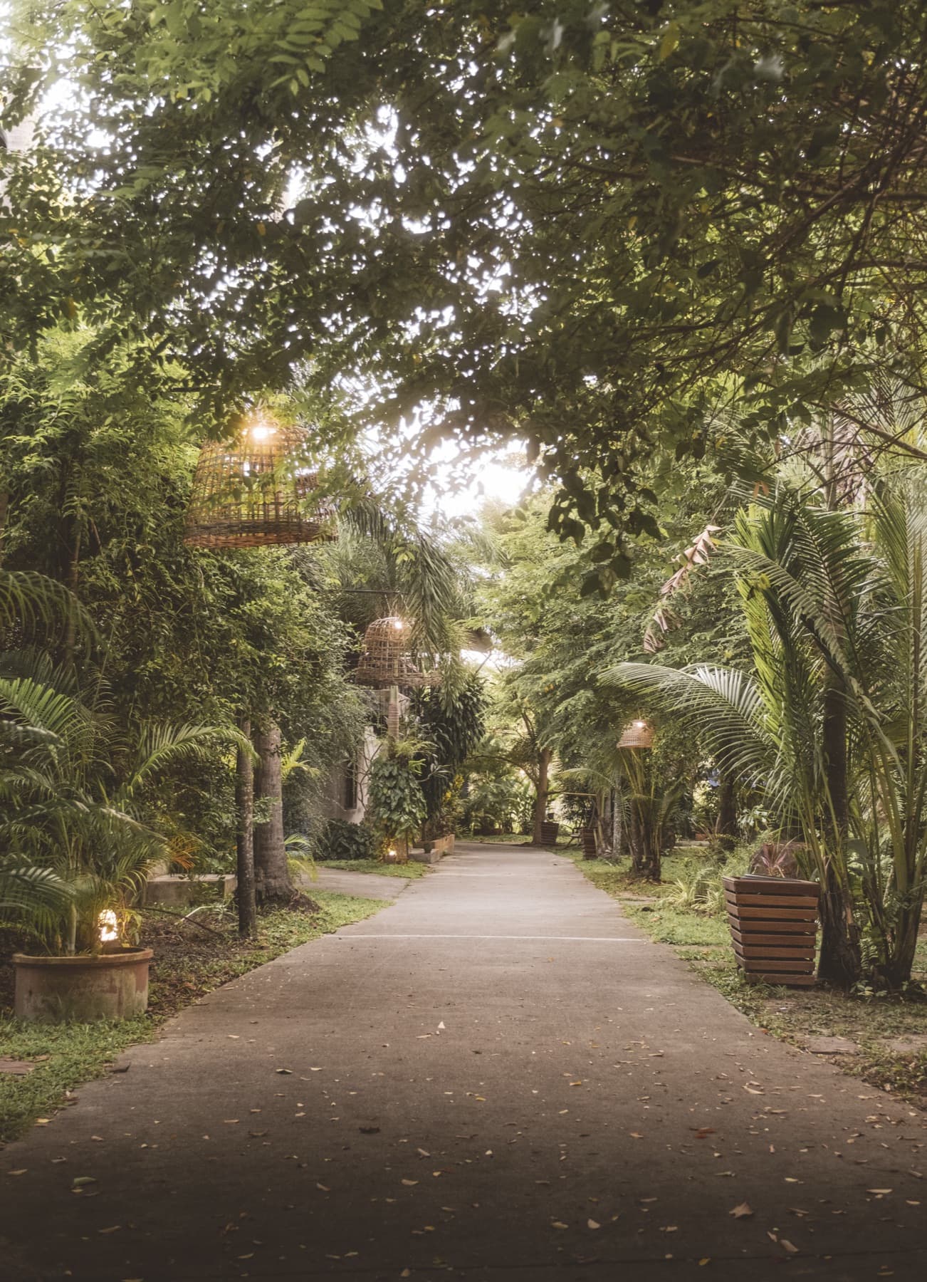 Lantern-lit pathway through the Wonderland gardens