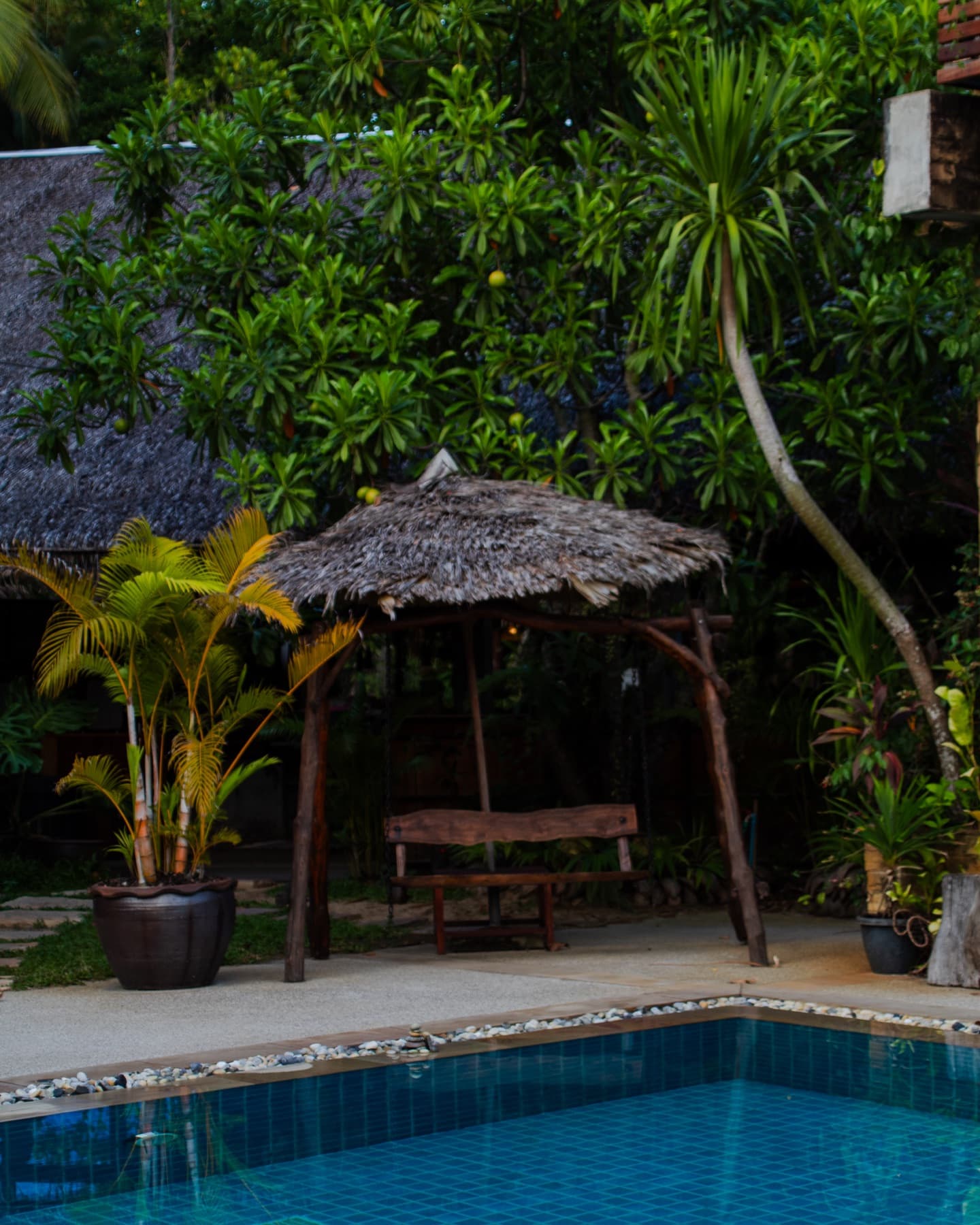 The pool surrounded by tropical jungle