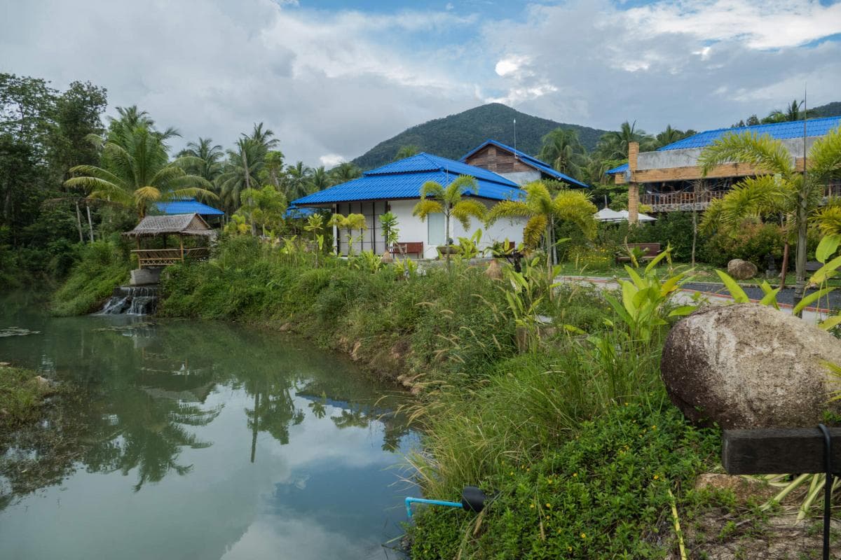 Wonderland Healing Center surrounded by tropical forest in Koh Phangan
